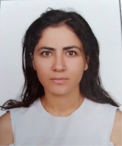 VergiRaporu Yazar Fotoğrafı